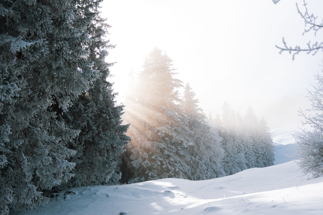 Bundle Up for Taos: 10 Snowy Activities to Embrace the Winter Charm… — Bundle Up for Taos