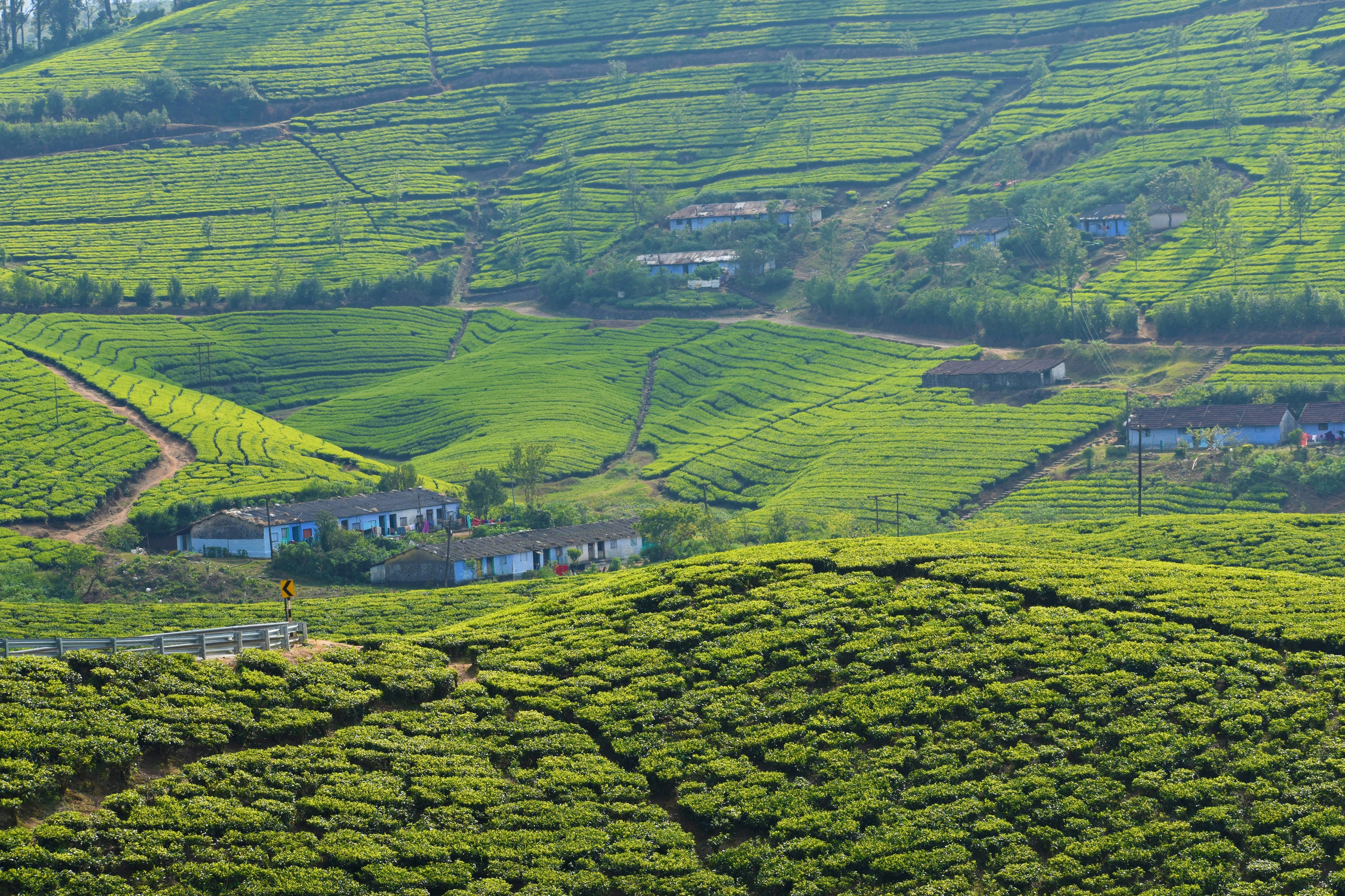 Photo by ramesh_photos