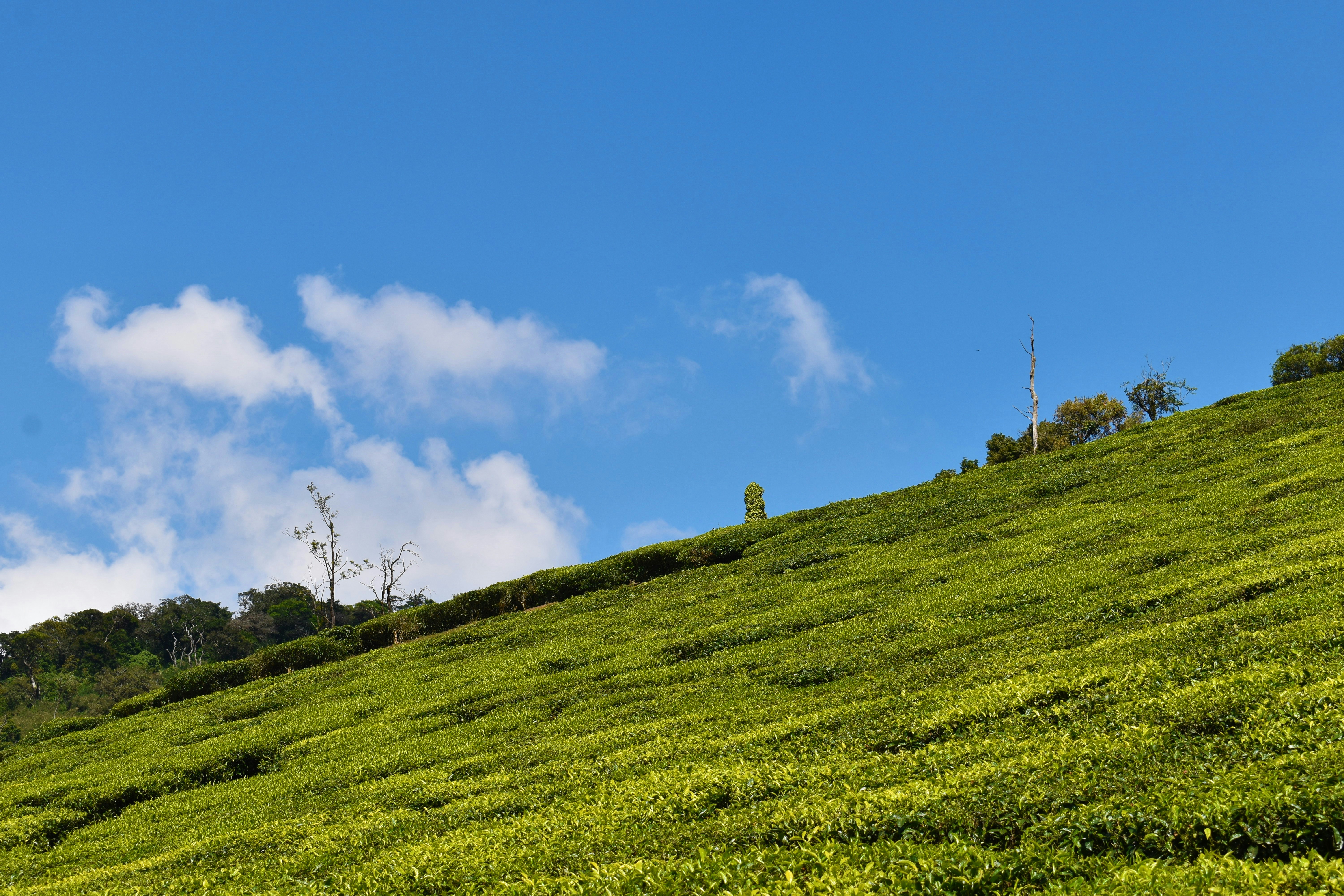 Photo by ramesh_photos