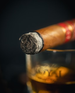 A close-up view of a partially smoked cigar resting on the edge of a glass filled with amber liquid, likely whiskey or brandy. The focus is on the textured ash of the cigar with a blurred background.
