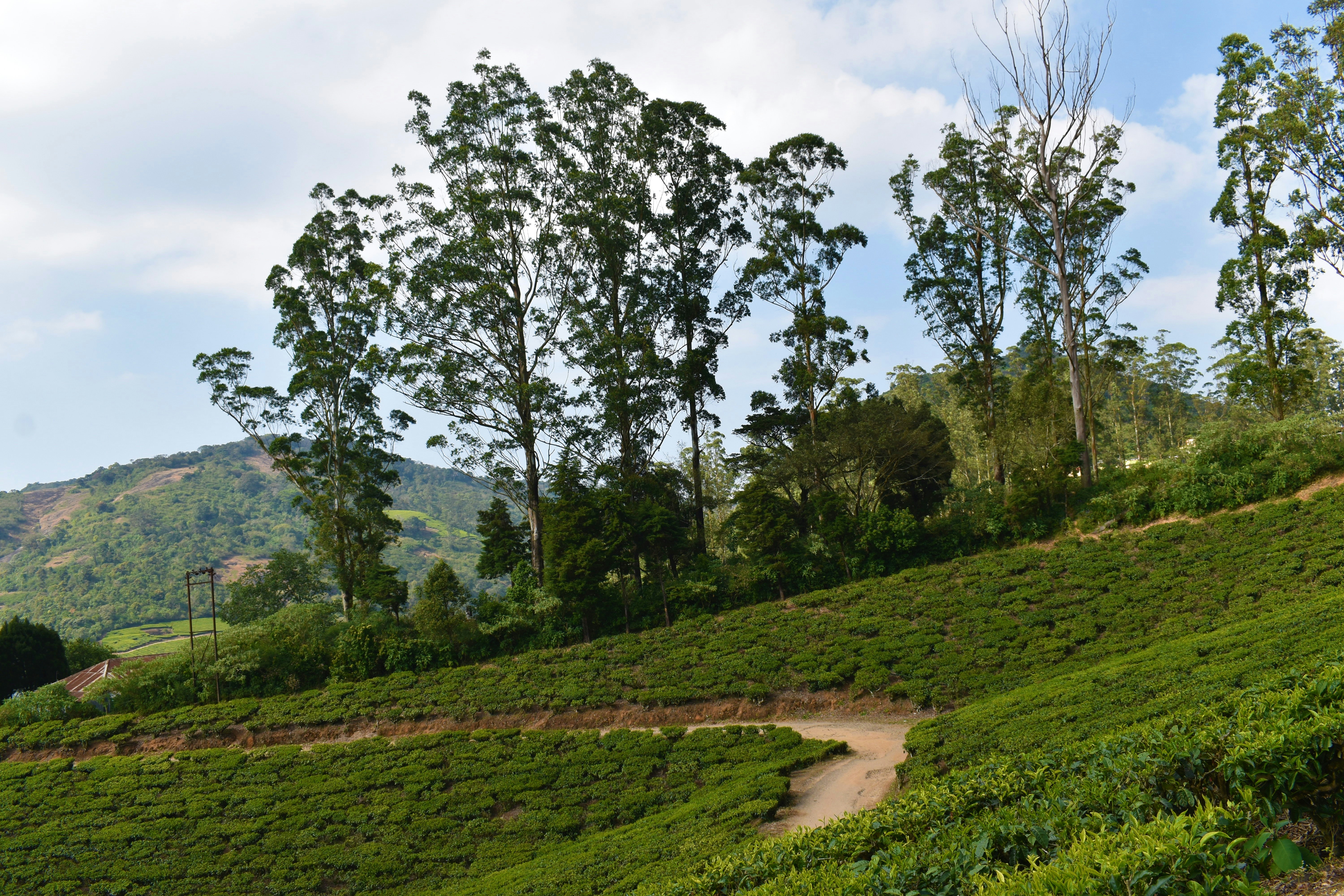 Photo by ramesh_photos