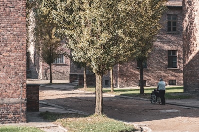 A serene scene in a courtyard surrounded by brick buildings, with a person assisting another in a wheelchair on a paved pathway. Tall trees with dense green foliage line the path, casting shadows and adding a touch of nature to the urban environment.