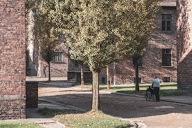 A serene scene in a courtyard surrounded by brick buildings, with a person assisting another in a wheelchair on a paved pathway. Tall trees with dense green foliage line the path, casting shadows and adding a touch of nature to the urban environment.
