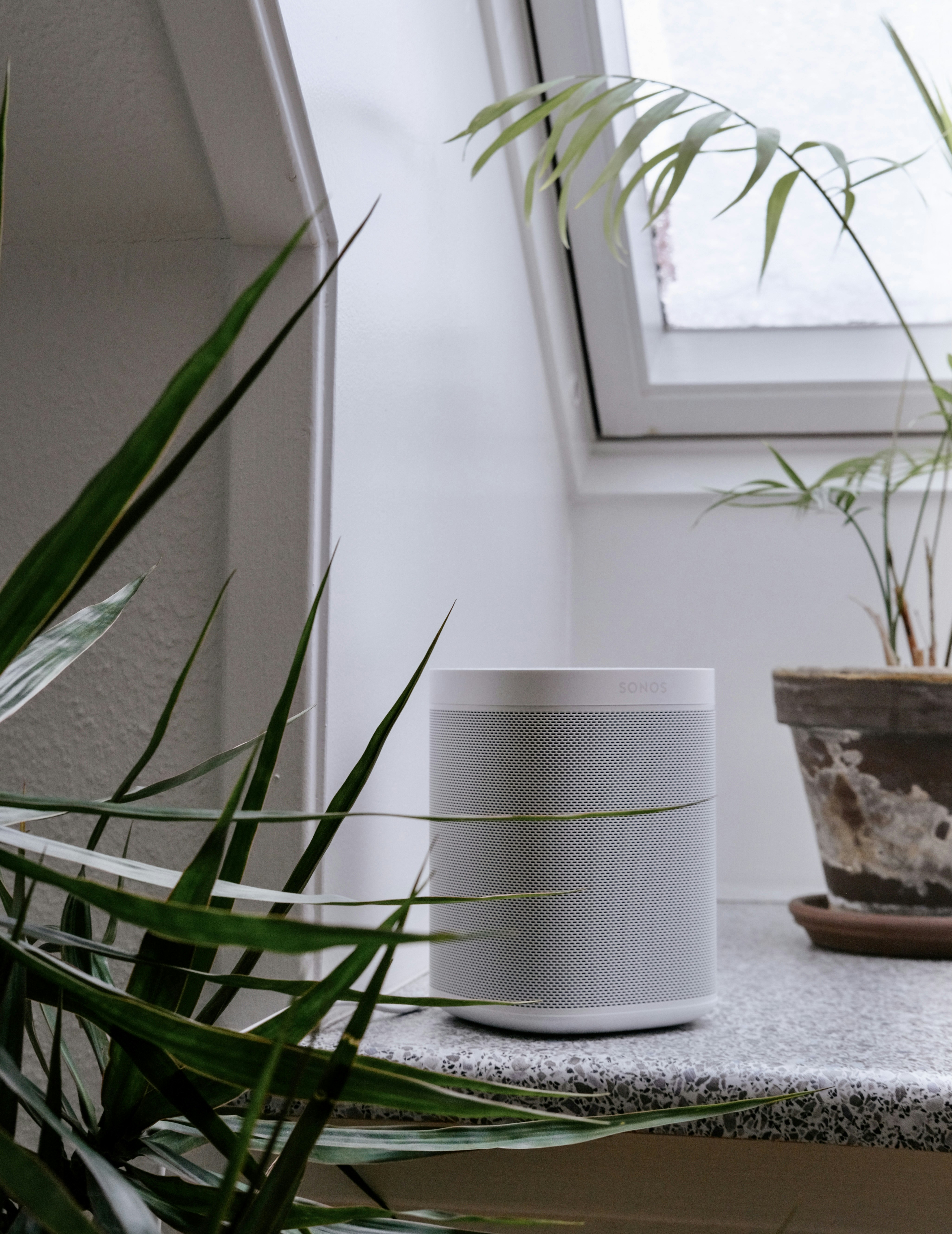 Photo by maybejensen