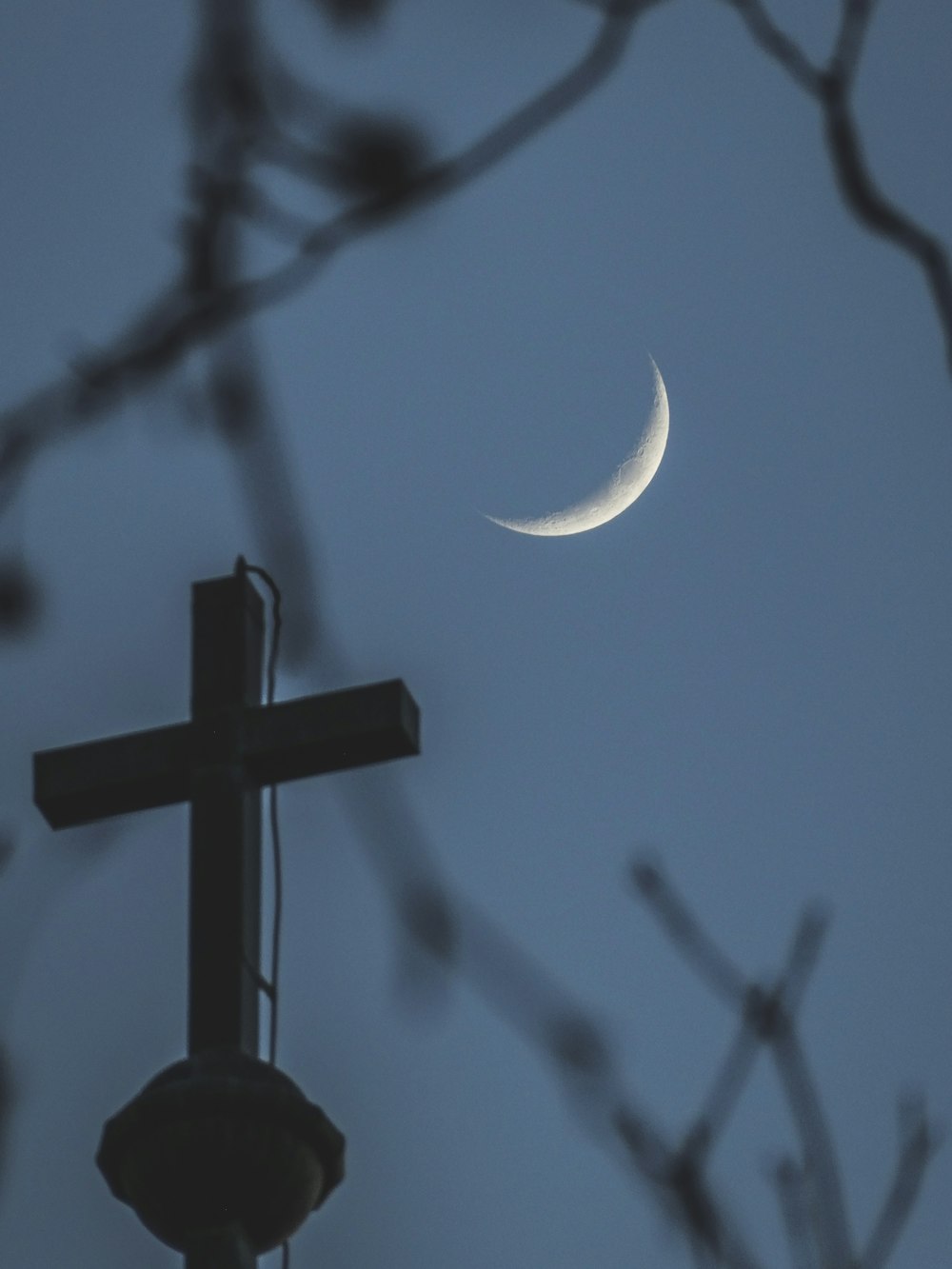 black cross on tree branch