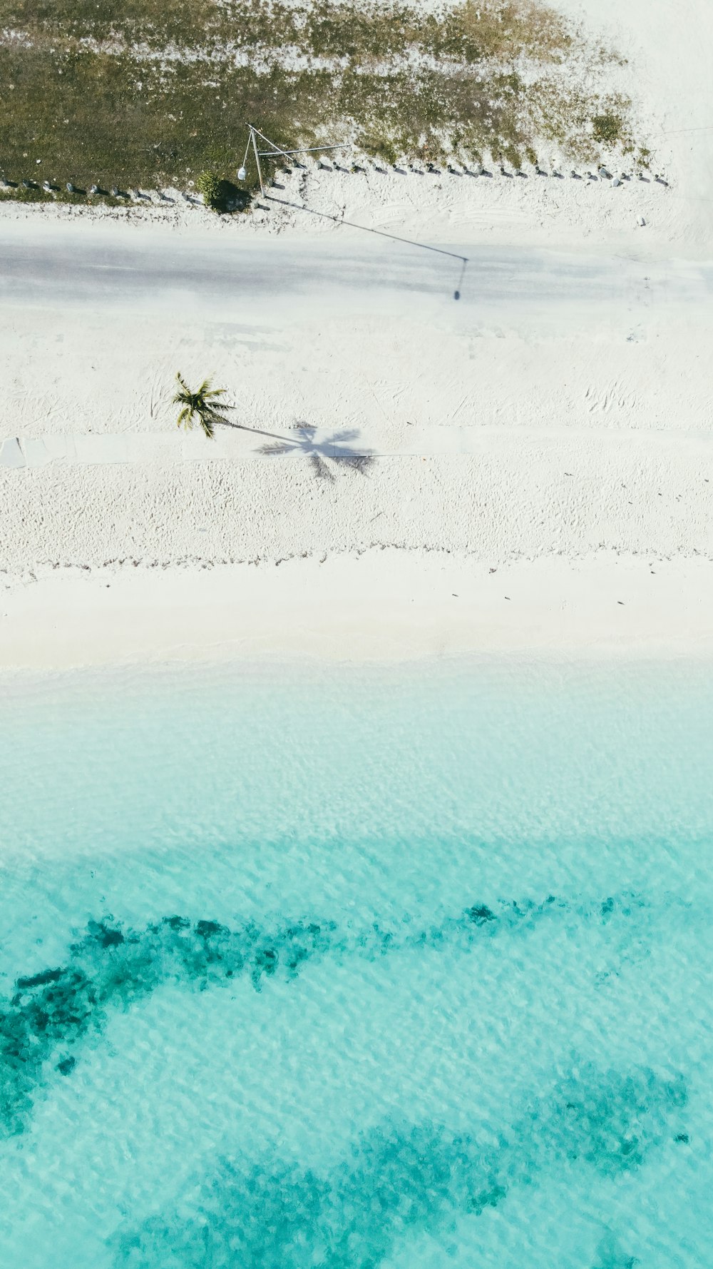 aerial view of beach during daytime