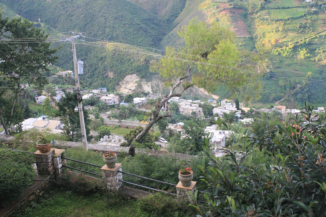 green trees on mountain during daytime