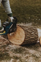 Close-up of a powerful gasoline chainsaw cutting through a thick log in a forest.