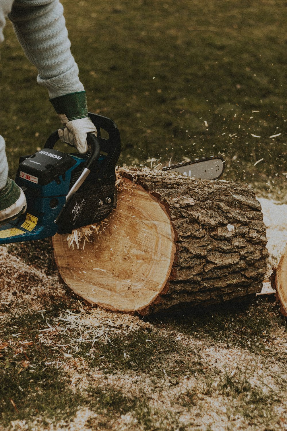 person in gray pants and black gloves holding blue and black power tool on brown wooden