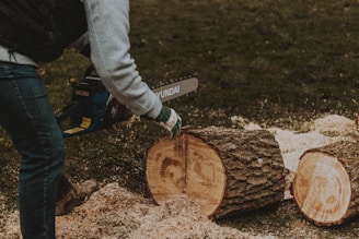 person in gray pants and white socks holding brown wooden log