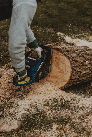Professional arborist performing precision tree removal equipment setup in Oklahoma residential job 