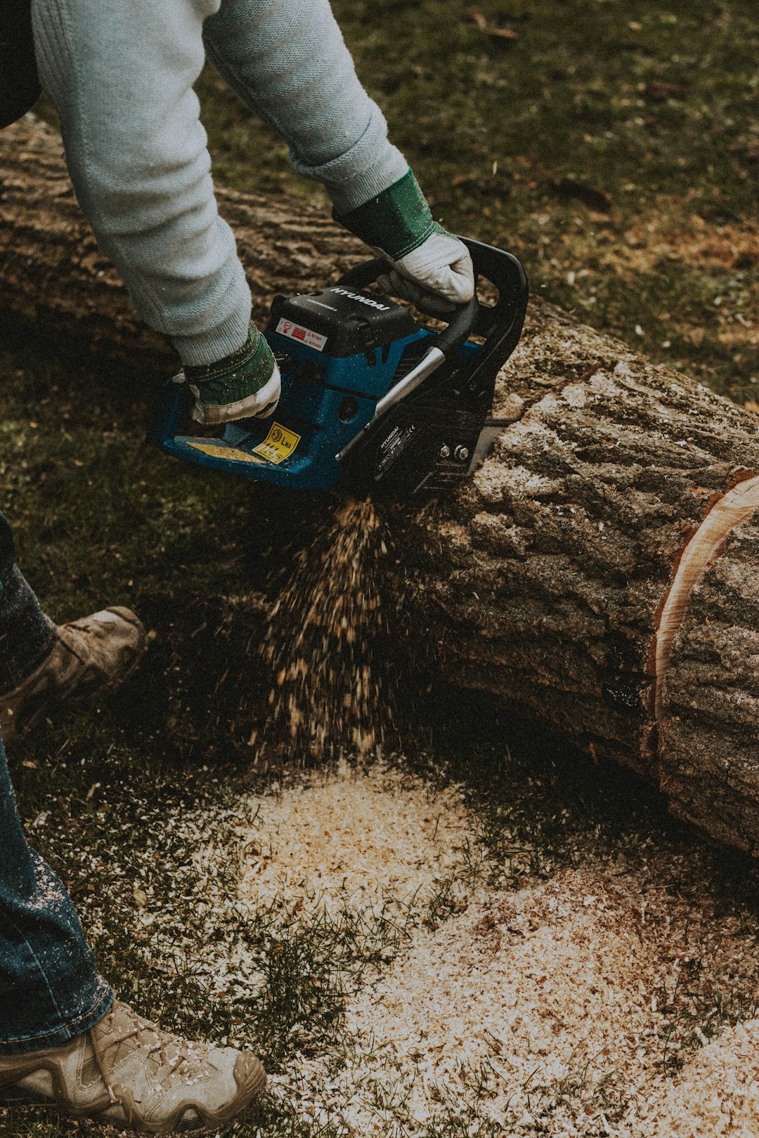 person in gray pants and blue and black snow blower cutting wood log