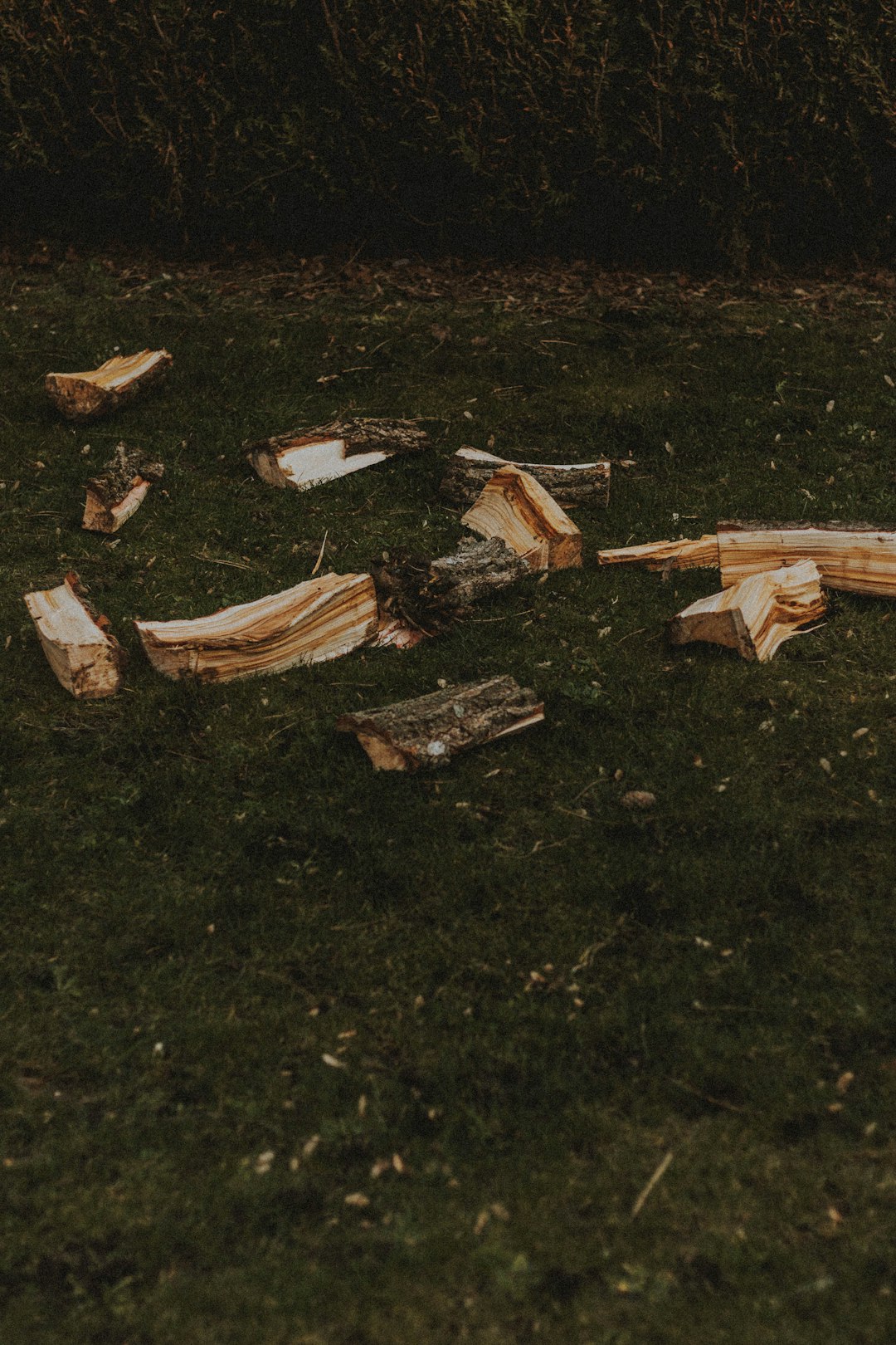 brown wood log on green grass field