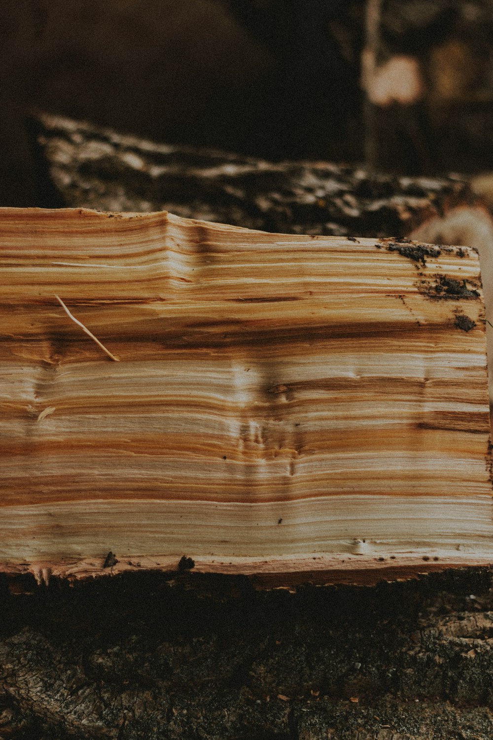 Tronco de madera marrón sobre suelo negro