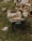 A green wheelbarrow filled with chopped firewood is positioned on a grassy area. Surrounding the wheelbarrow are scattered pieces of wood and tree stumps. The grass is green and the scene has a rustic, natural setting.