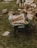 A green wheelbarrow filled with chopped firewood is positioned on a grassy area. Surrounding the wheelbarrow are scattered pieces of wood and tree stumps. The grass is green and the scene has a rustic, natural setting.