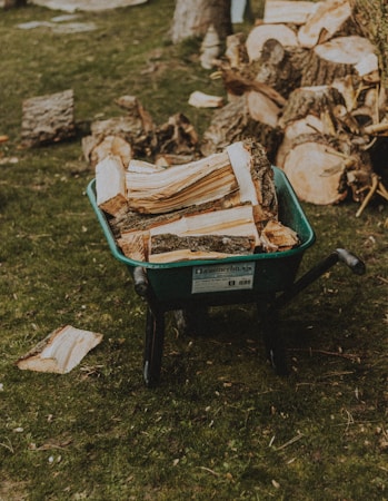 A green wheelbarrow filled with chopped firewood is positioned on a grassy area. Surrounding the wheelbarrow are scattered pieces of wood and tree stumps. The grass is green and the scene has a rustic, natural setting.