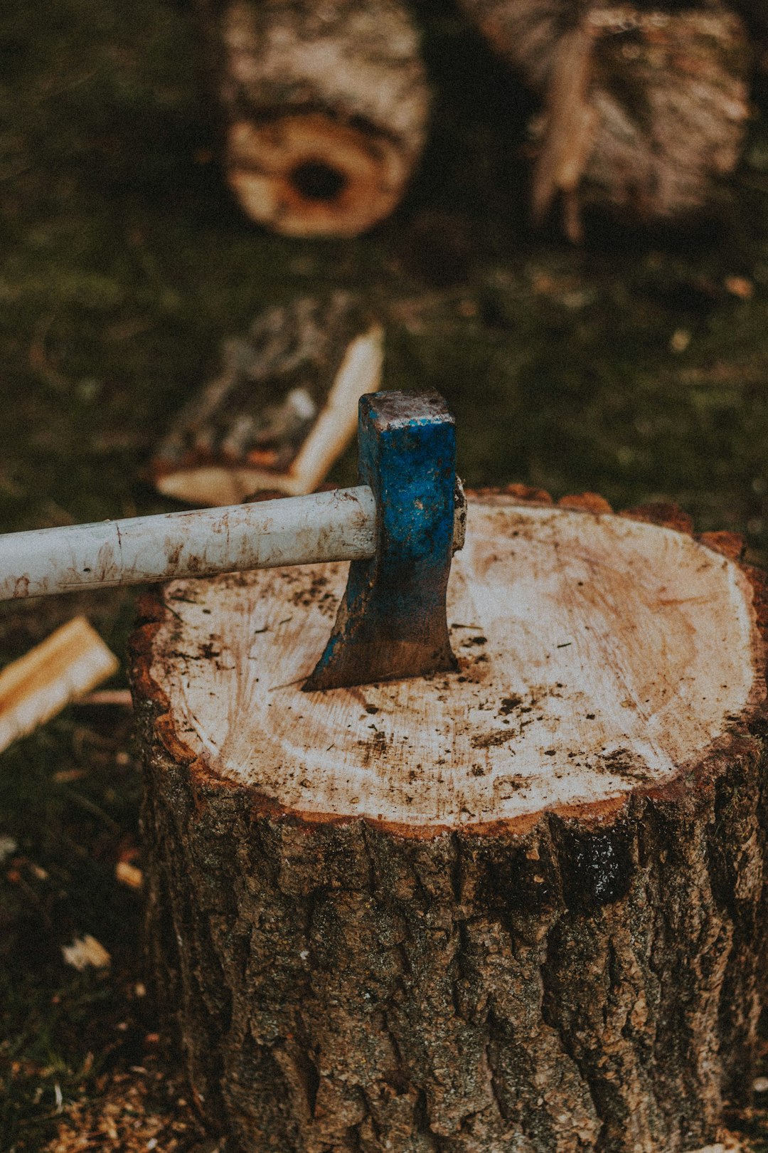 brown and blue axe on brown wood log