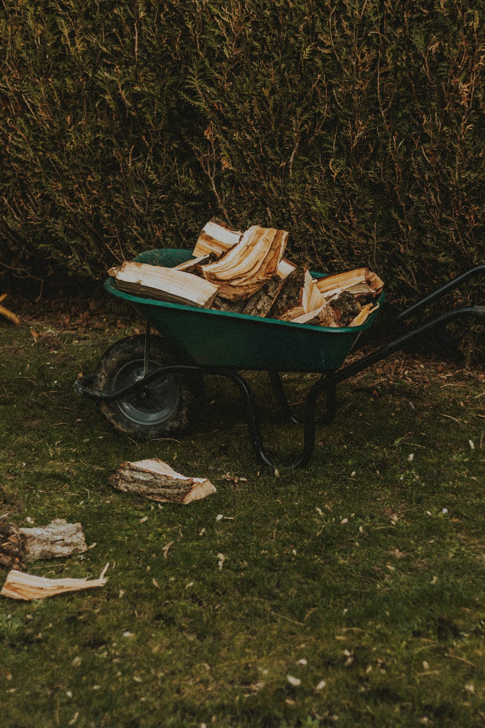 green and brown wheelbarrow with brown dried leaves on green grass field