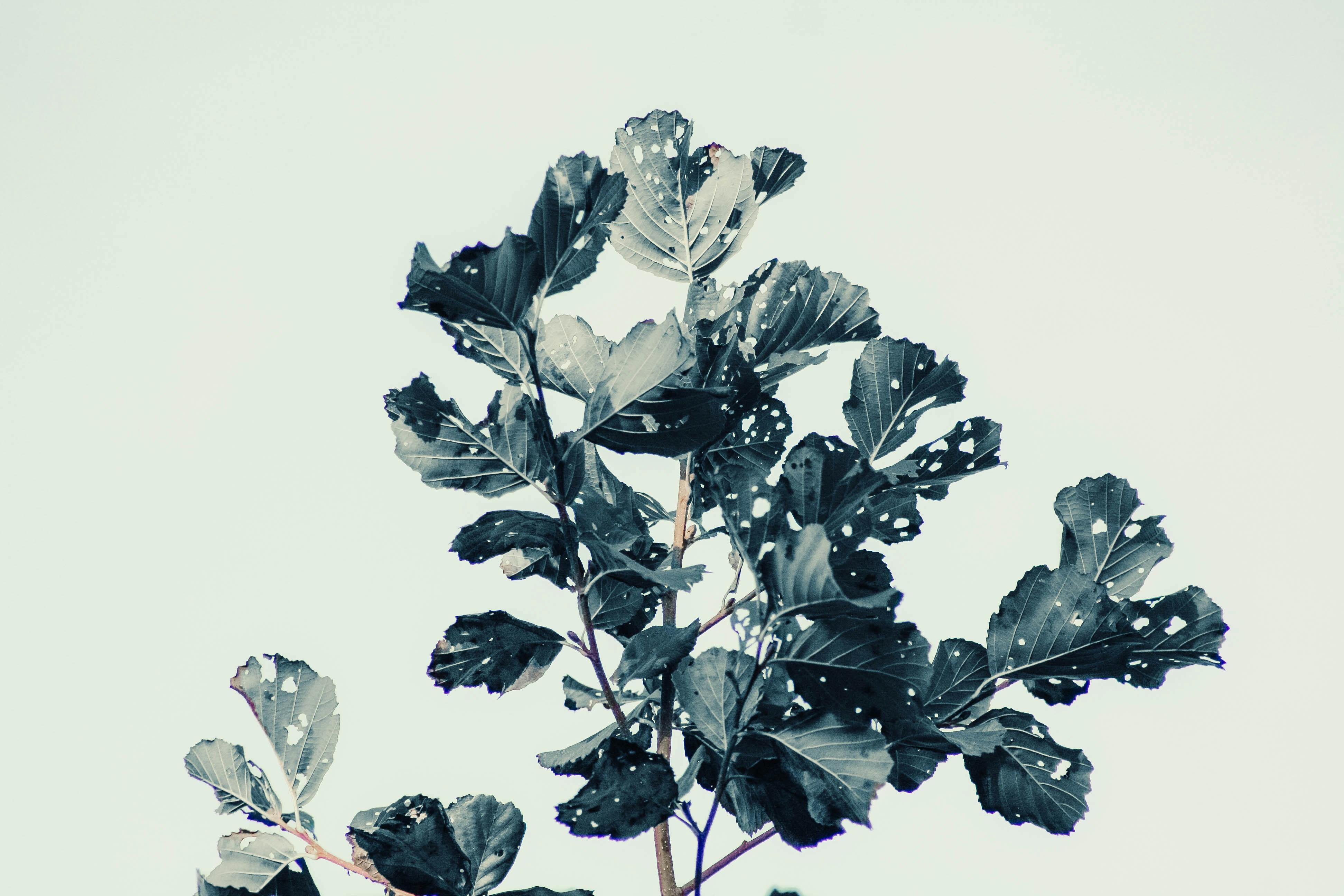 Photo by thestarryme