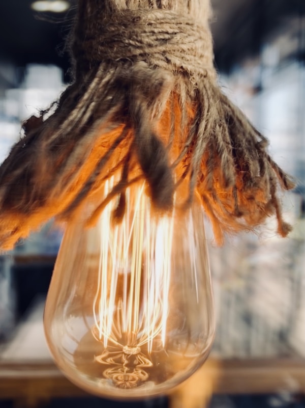 brown and black feather on clear glass container