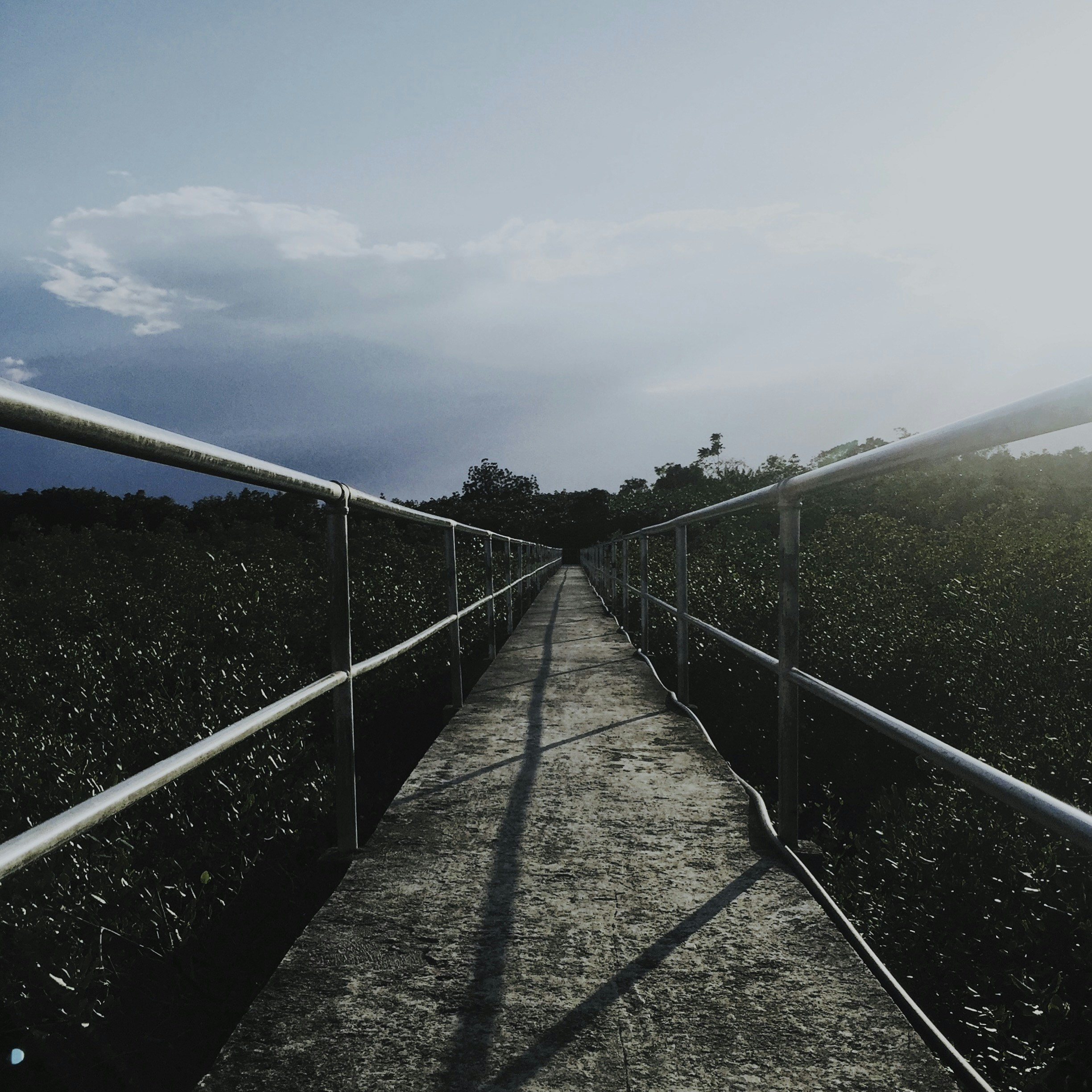Photo by frankvir