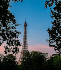 The Eiffel Tower is framed by silhouetted trees against a backdrop of a serene sky with subtle pink and blue hues.