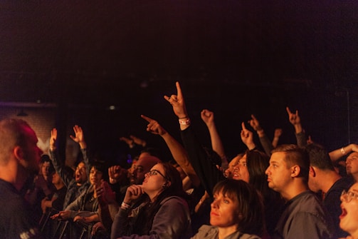 people raising their hands during night time