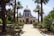 A scenic view of a classical church with a domed roof, surrounded by tall palm trees and a landscaped garden. The pathway leading to the entrance is paved and flanked by greenery, creating a serene and inviting atmosphere.