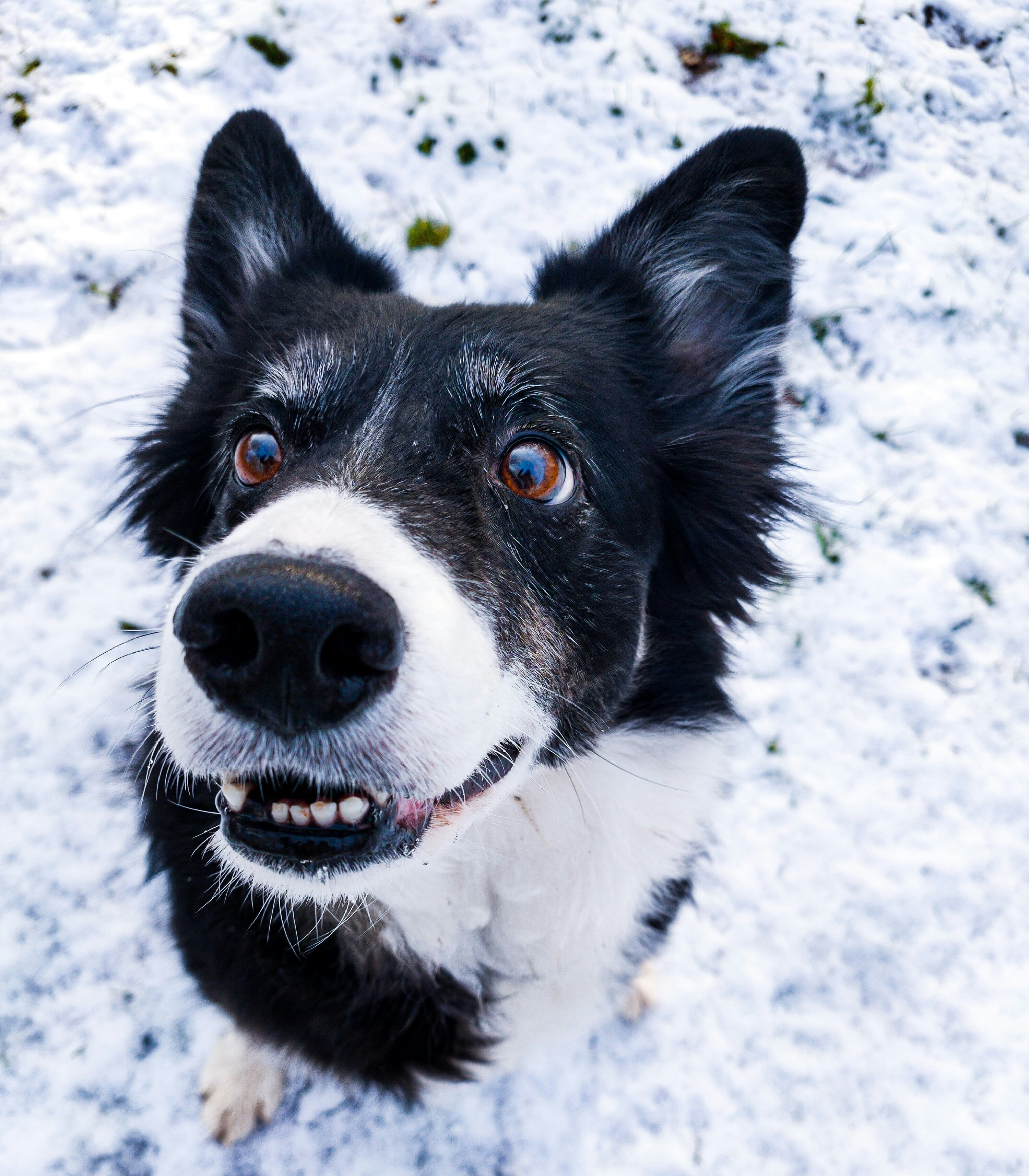 Photo by kayleigh1200o