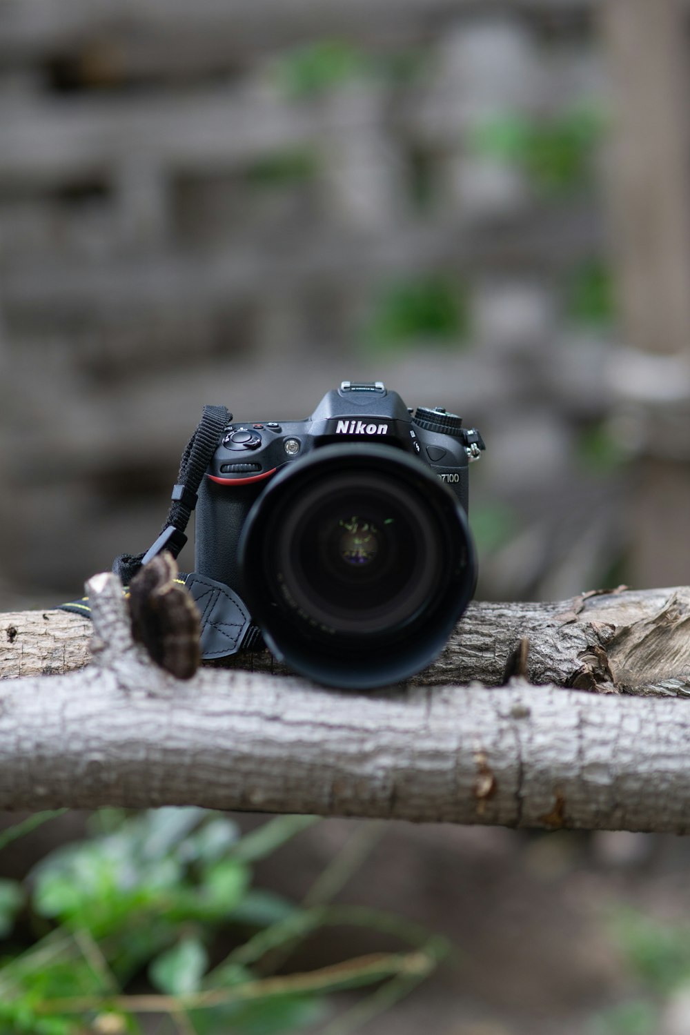 Schwarze Nikon DSLR-Kamera auf braunem Holzstamm