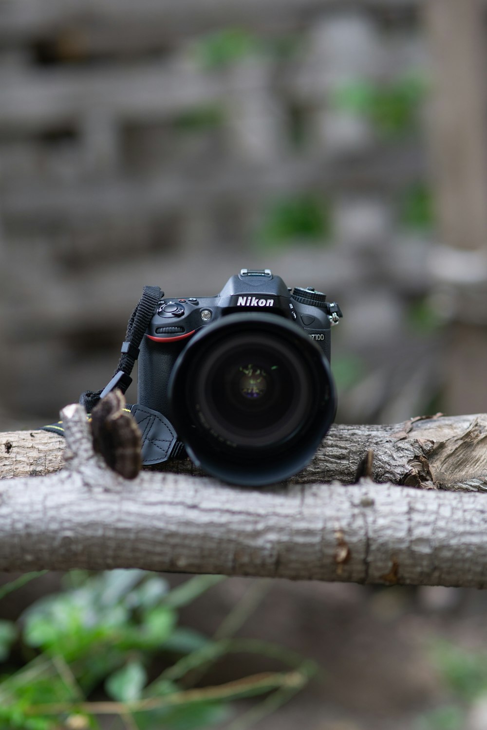 câmera preta nikon dslr no tronco de madeira marrom