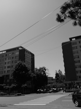 Urban scene featuring several tall residential buildings with trees lining the streets below. Power lines cross the sky, and a zebra crossing is visible in the foreground. A few cars and pedestrians are present, suggesting a typical day in a city environment.