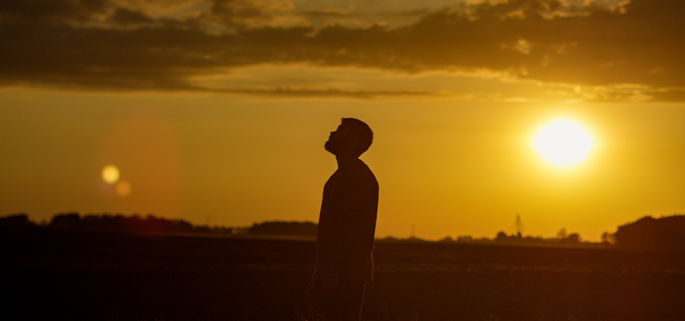 silhouette of person standing on field during sunset