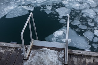 brown wooden ladder on snow covered ground