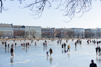 people on ice field during daytime