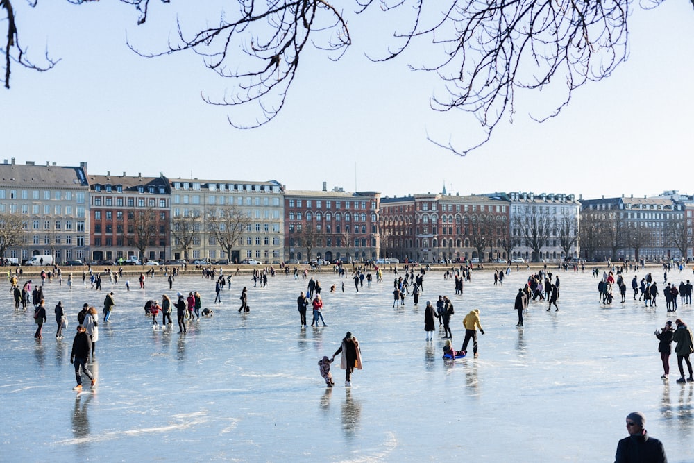 people on ice field during daytime