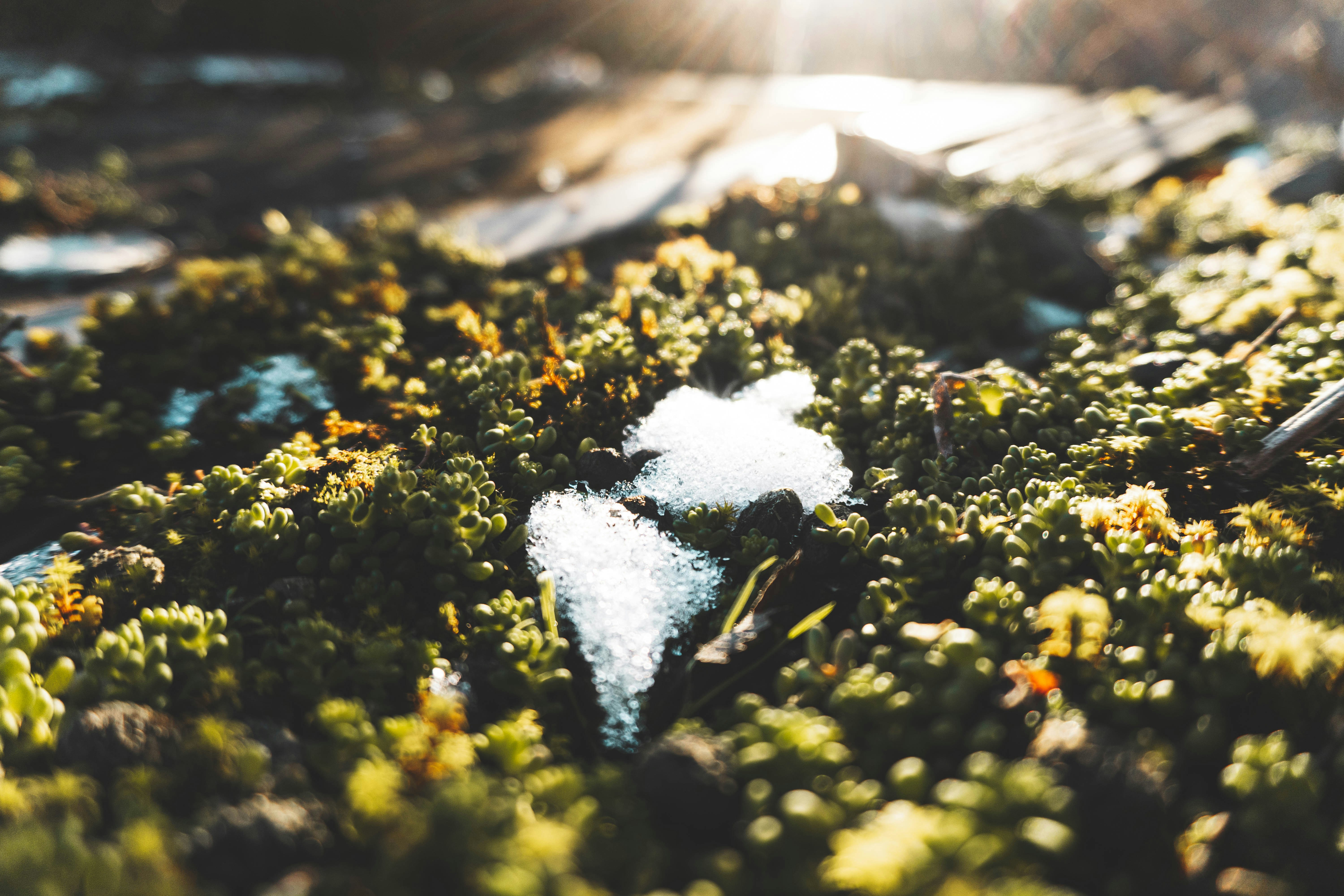 Photo by kylebushnell