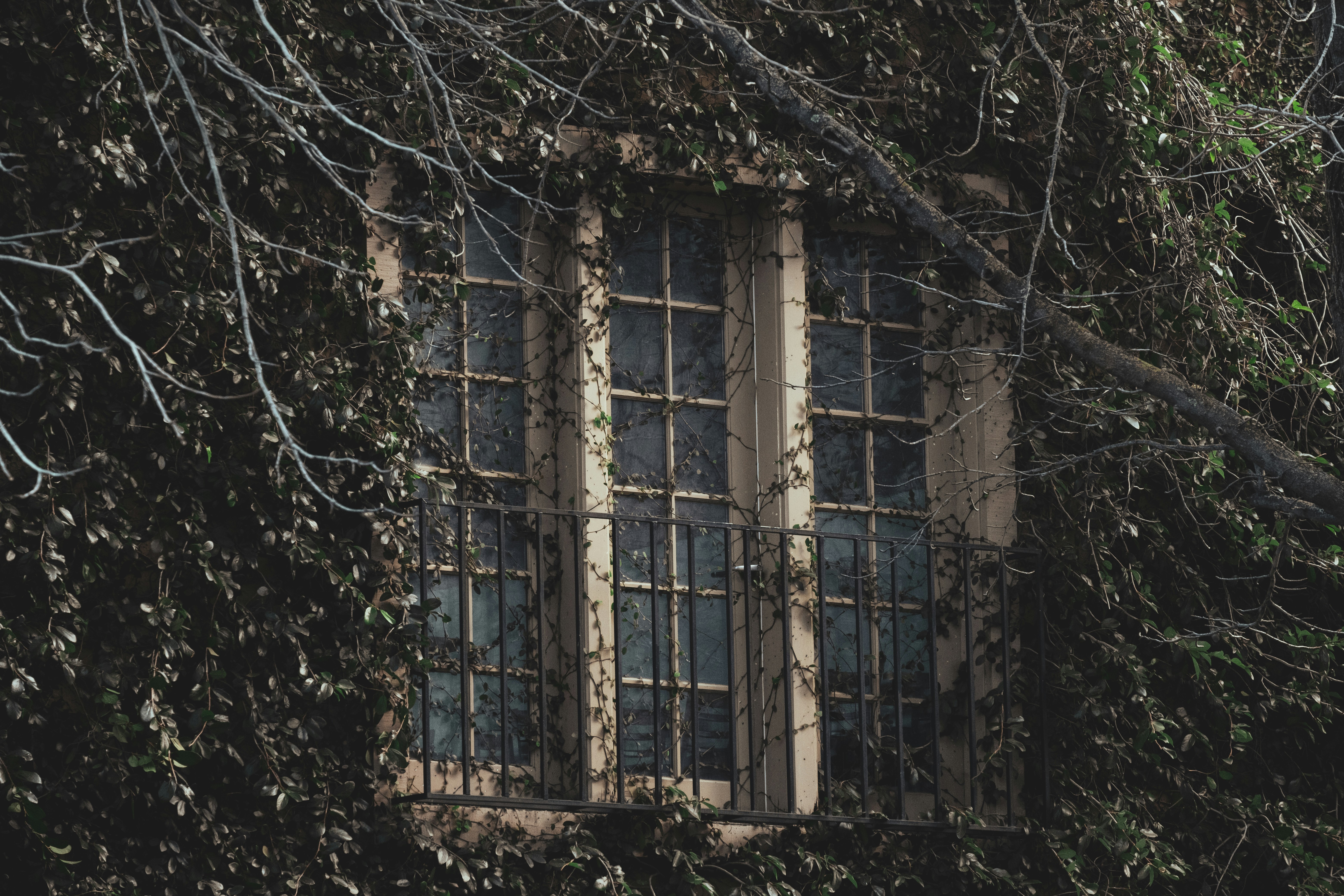 Photo by parsoakhorsand