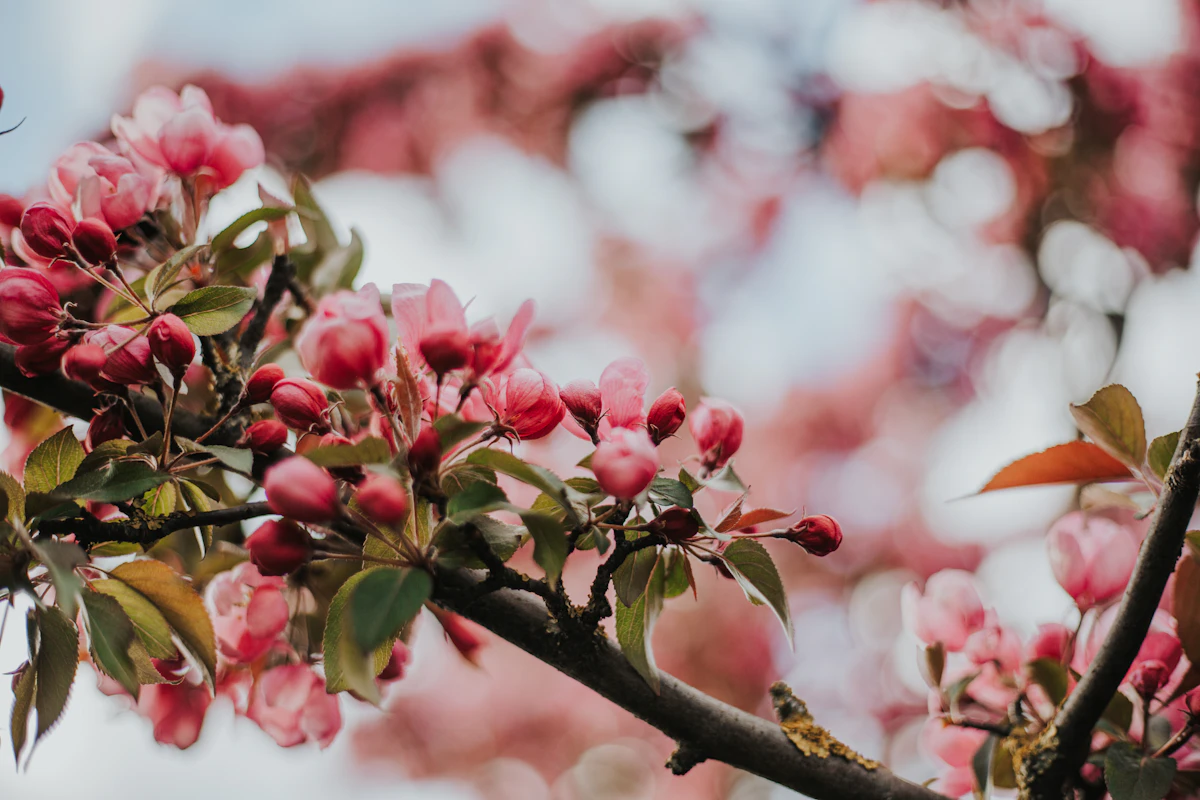 Building GraphQL APIs with Spring for GraphQL: A Comprehensive Guide