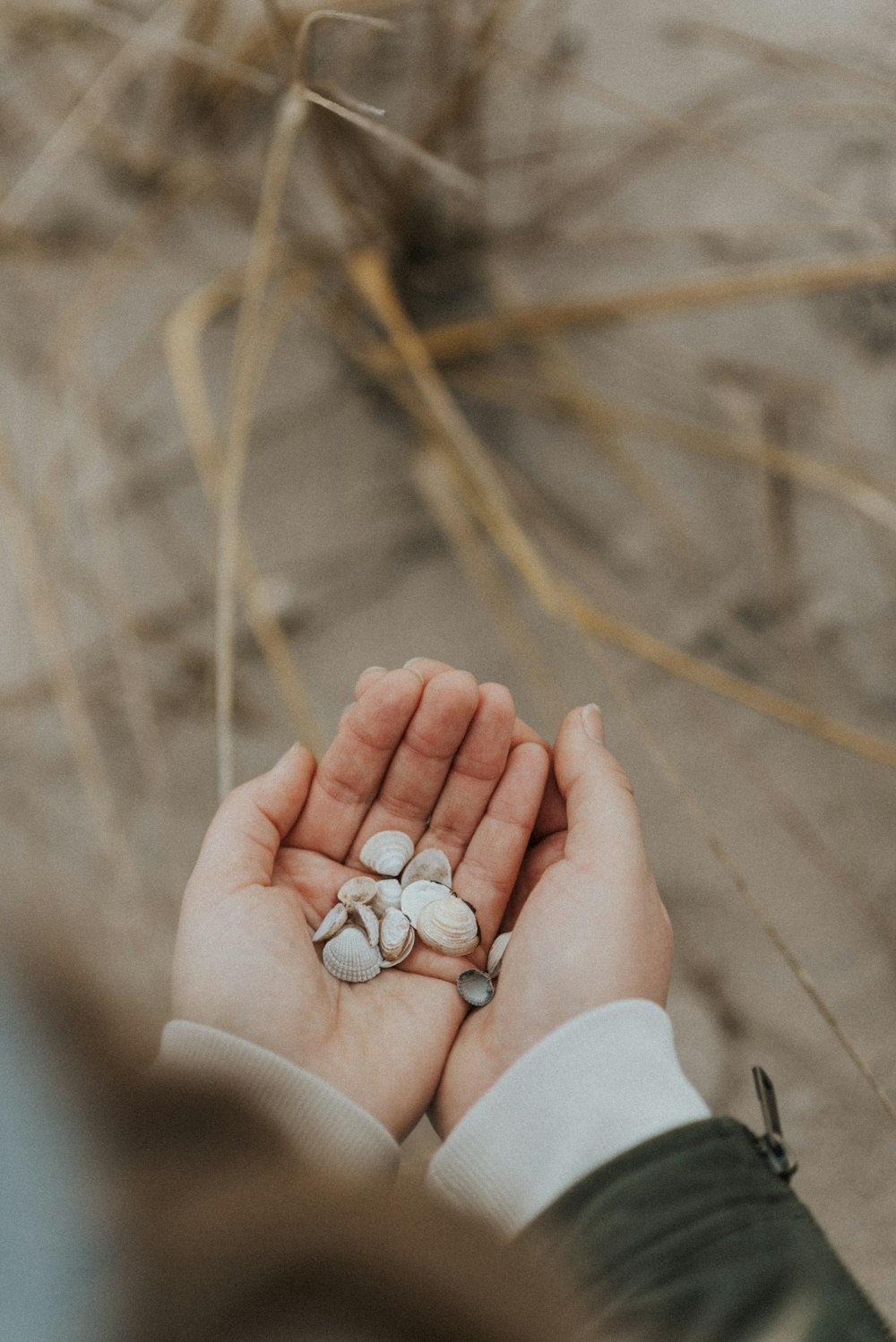 person holding silver and diamond ring