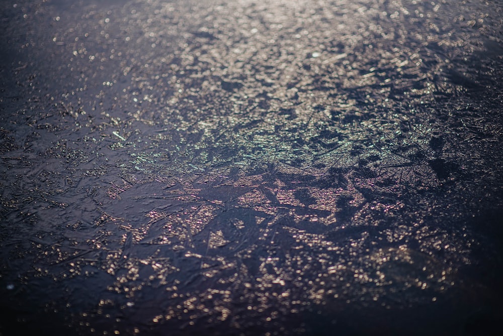 water droplets on black soil