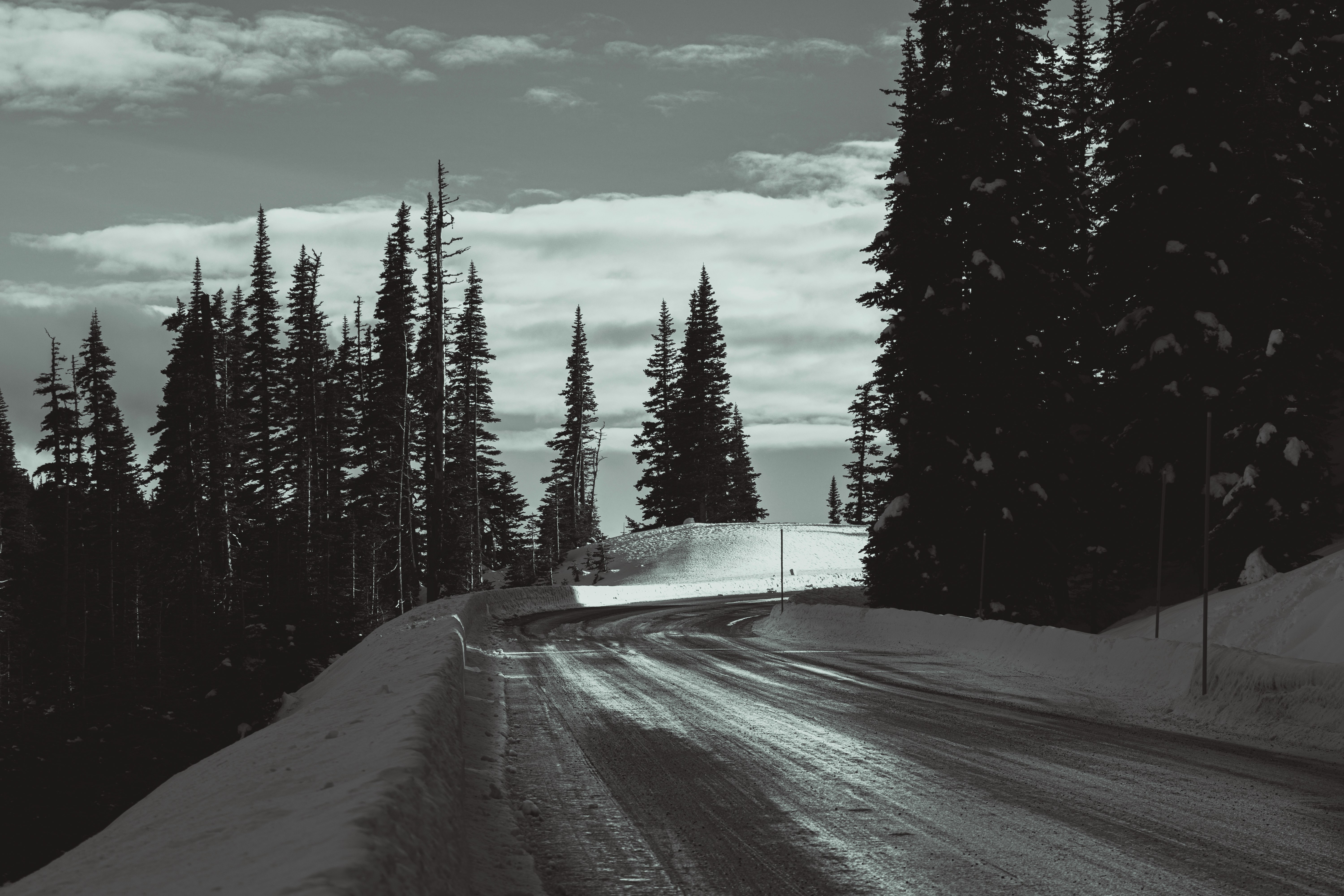 snow covered road between trees under cloudy sky during daytime