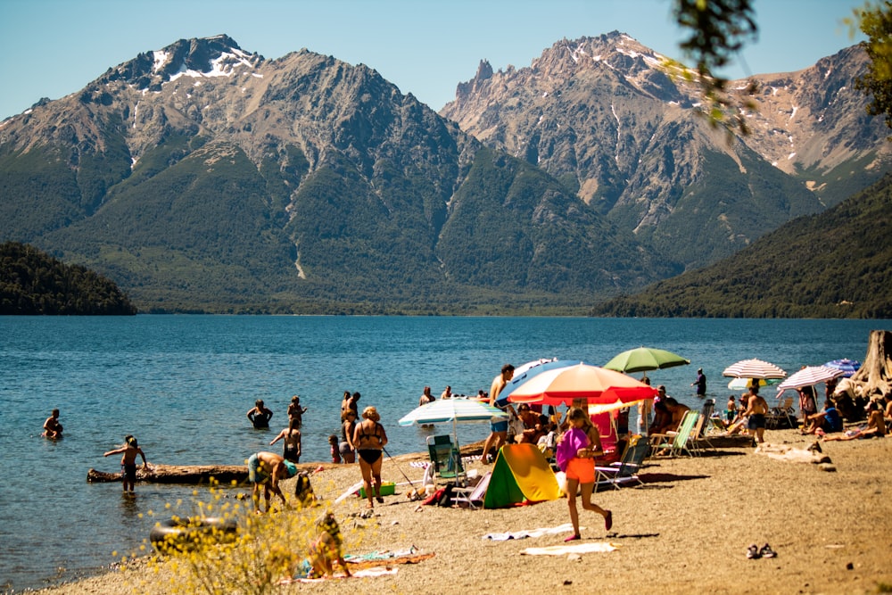 people on beach during daytime