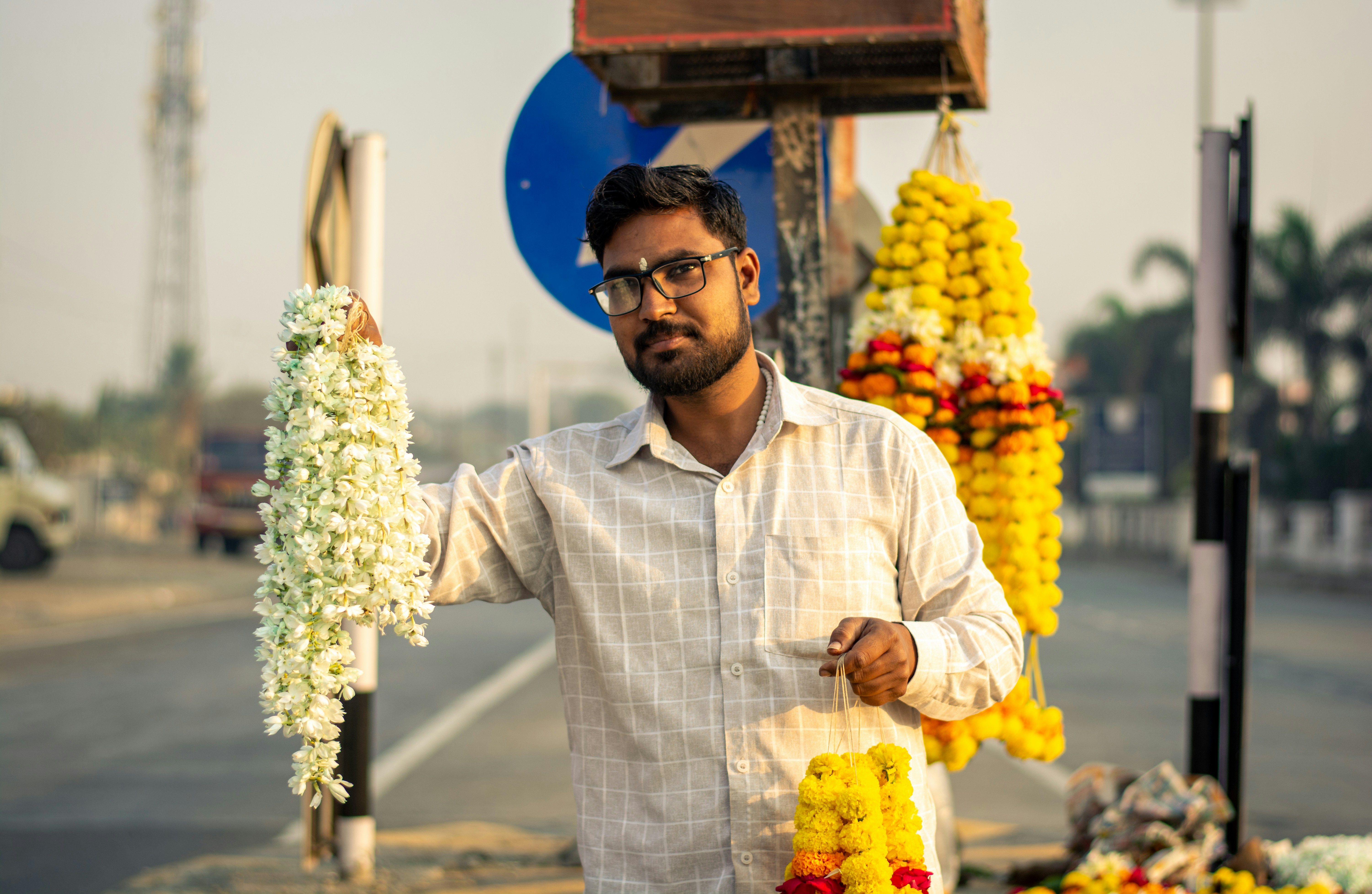 Harvest Of India