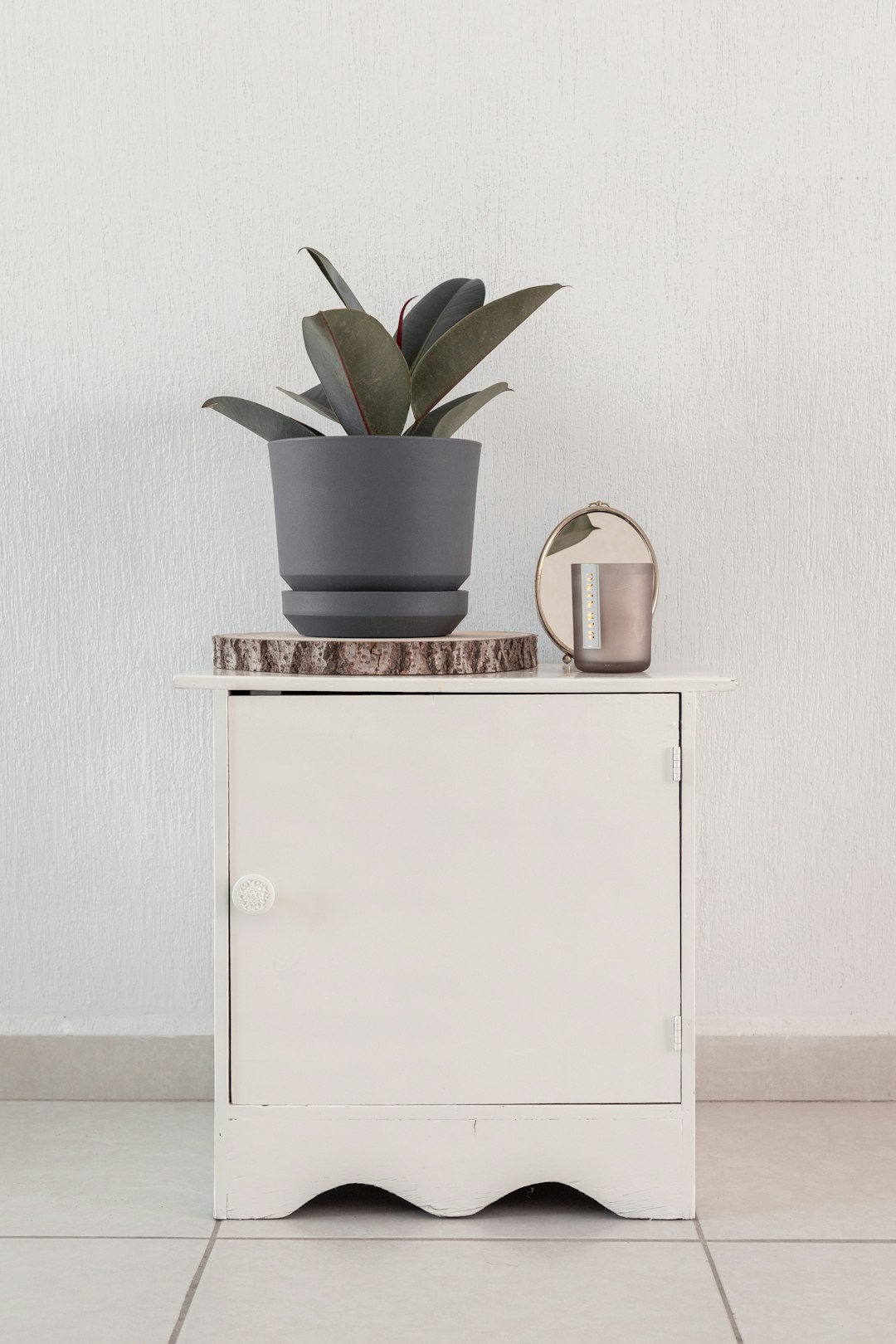 green plant on white wooden cabinet