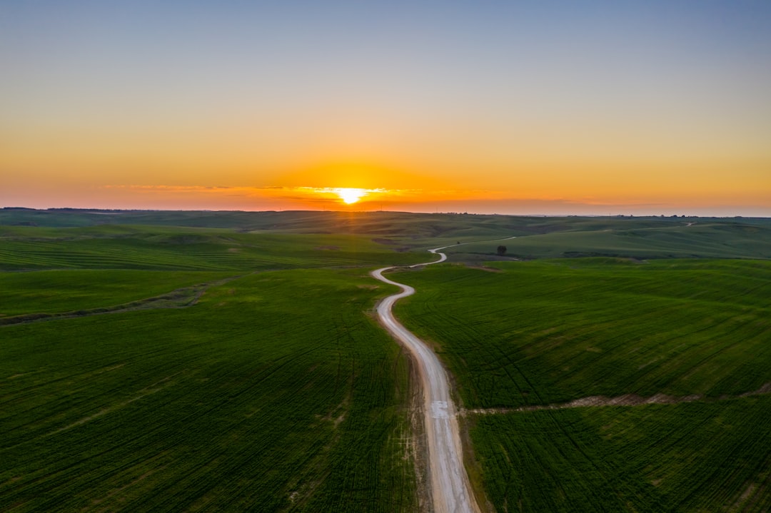 green grass field during sunset