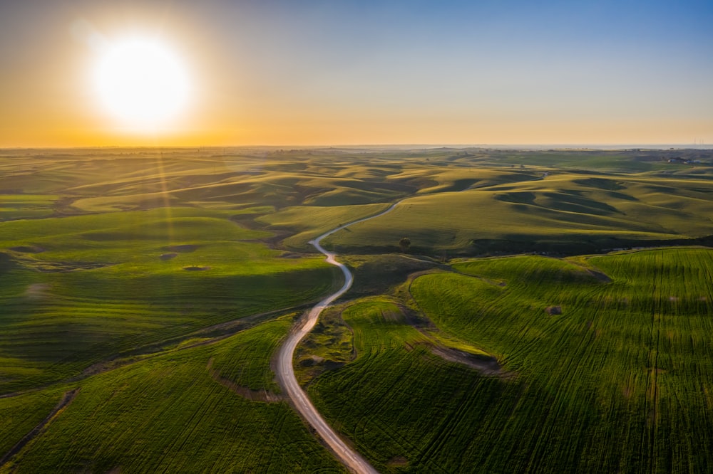 Campo de hierba verde bajo el cielo azul durante el día