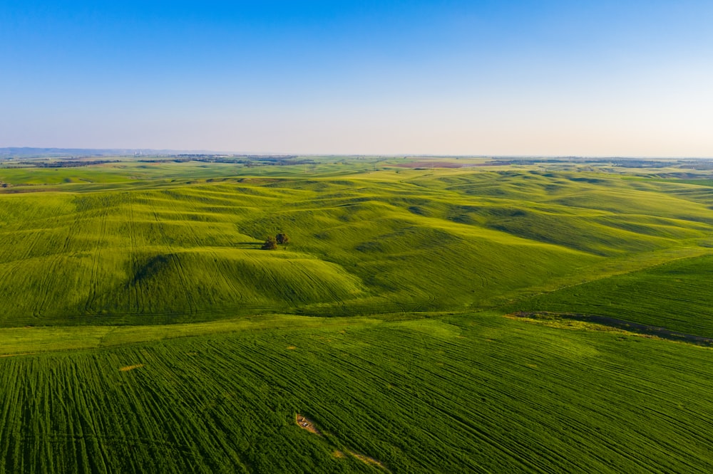 green grass field under blue sky during daytime