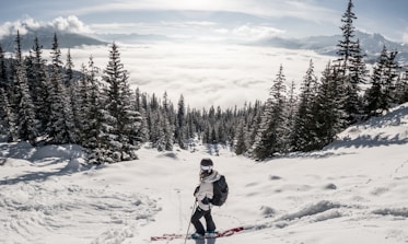 person in red jacket and blue pants riding ski blades on snow covered ground during daytime